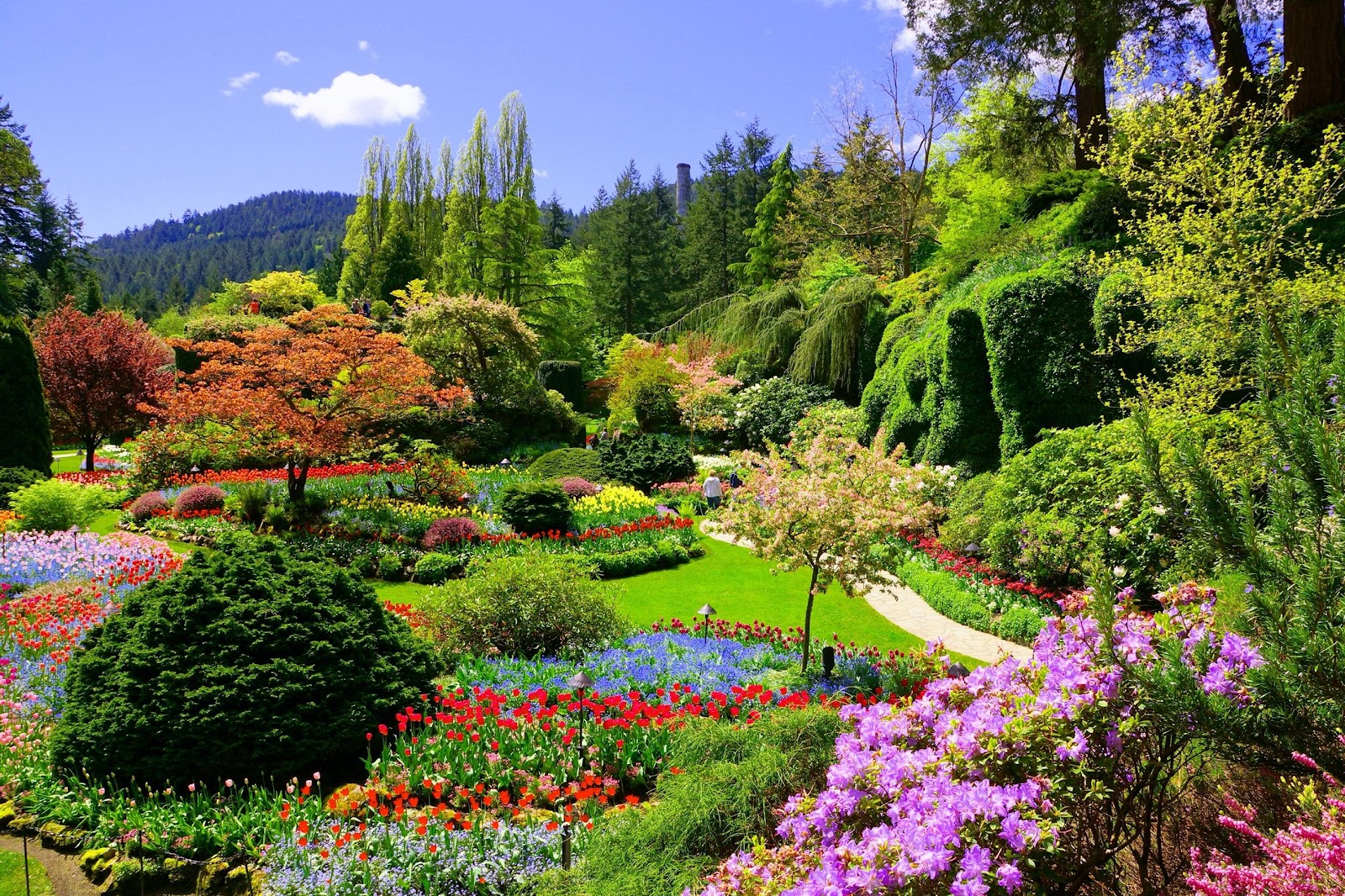 GARDEN VARIETY- Butchart Gardens in Brentwood Bay, Vancouver Island