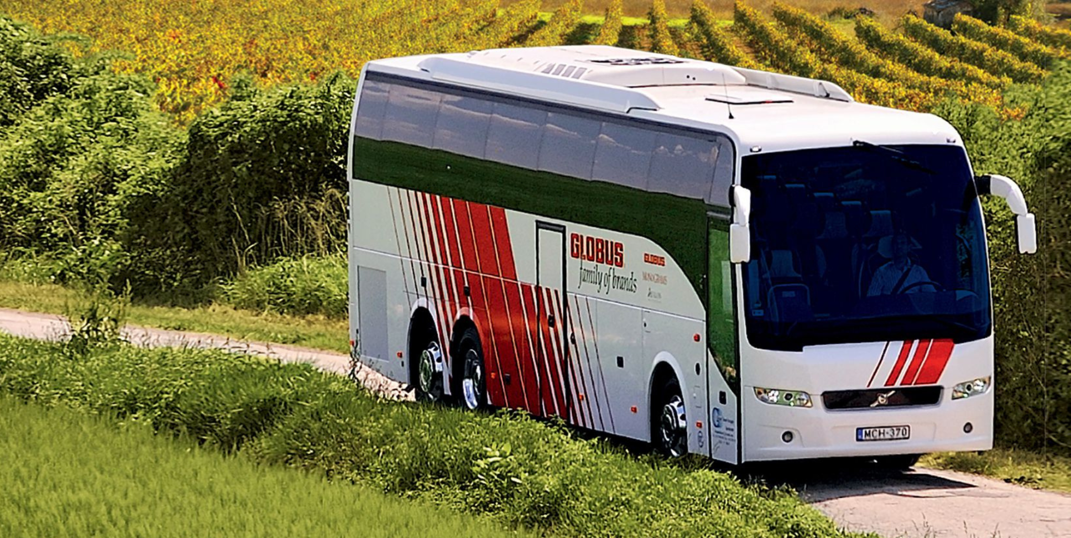 Read more about the article European Coach Tours