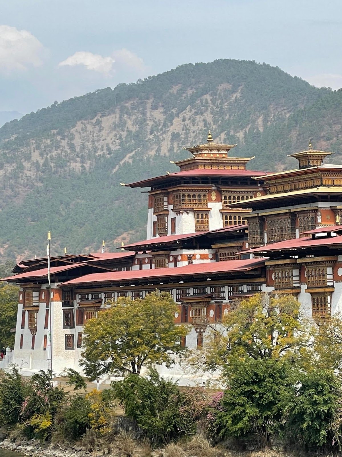 The Punakha Dzong - Discover Breathtaking Bhutan