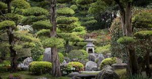 Celebrity Millennium - Kagoshima Amaminosato Garden