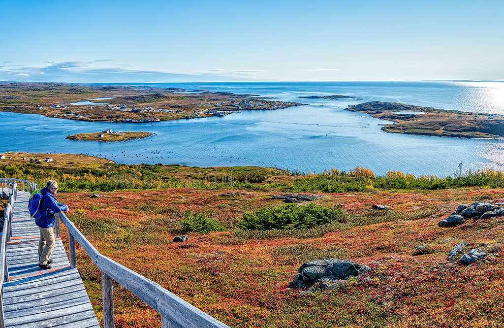 Adventure Canada - Bay with a field with red plants