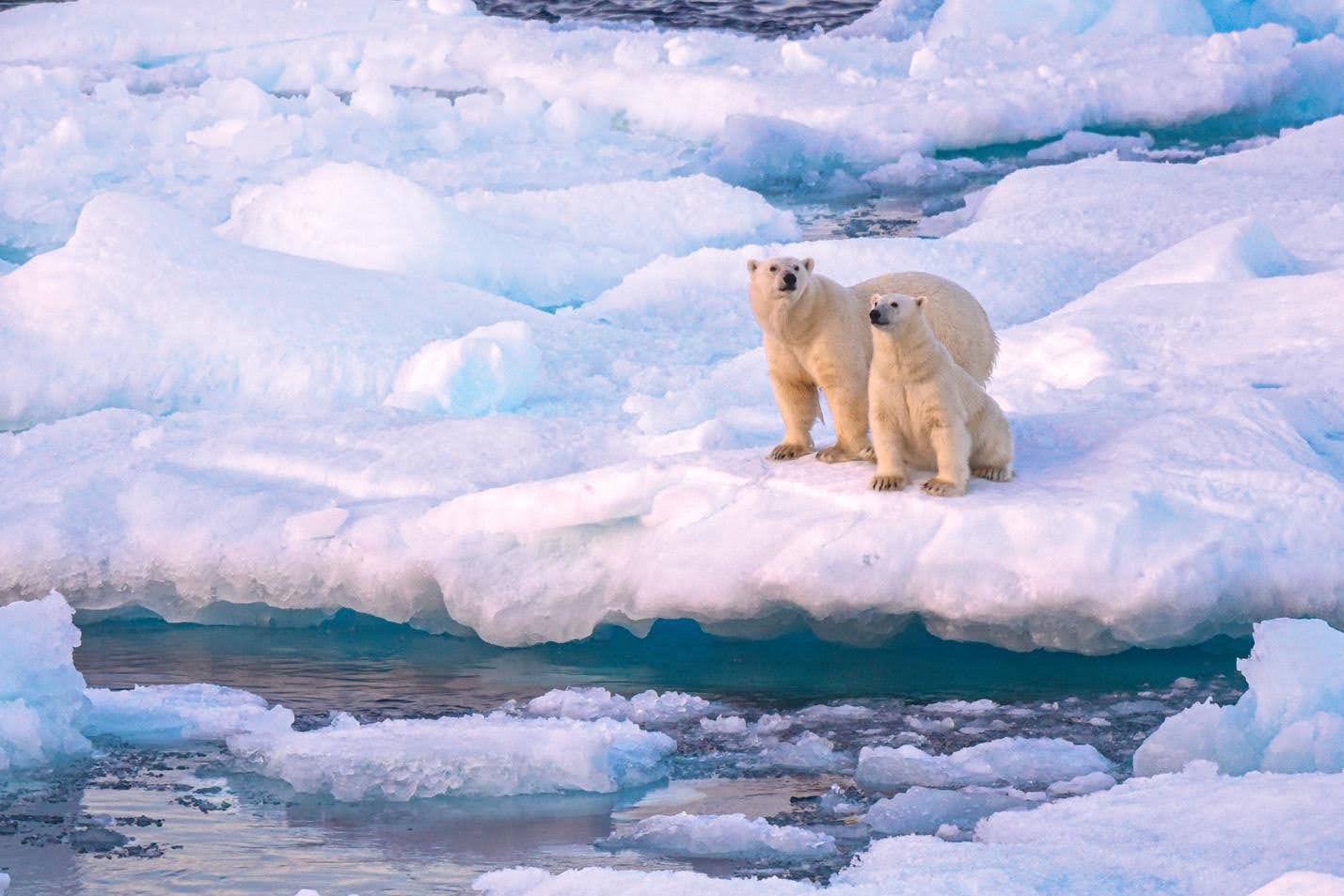 Adventure Canada - Into the Northwest Passage