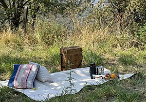 Bhutan Spirit Sanctuary, Paro Picnic