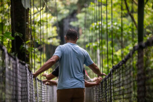 G Adventures Costa Rica The Geluxe Collection La Fortuna Forest