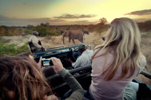 G Adventures Africa South Africa Kruger Travellers Vehicle Elephants Sunset